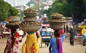 Immagine di Bombay