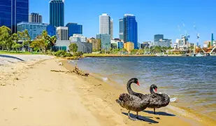 Perth