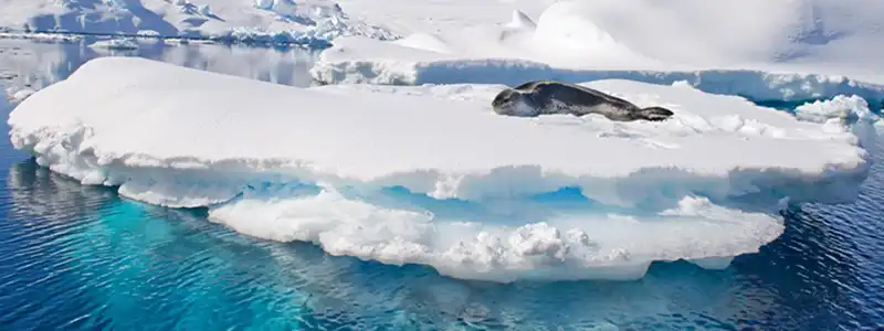 Antarctic Peninsula