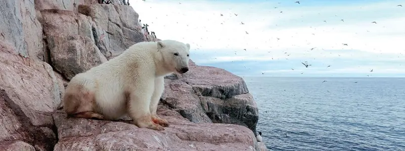 Coats Island, Nunavut