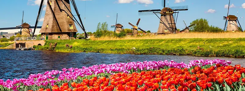 Kinderdijk