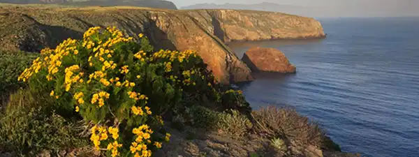 Santa Cruz Island