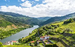 Immagine di Douro