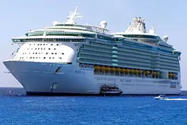 Immagine di Freedom  Of The Seas