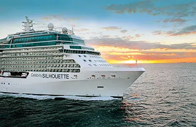 Immagine di Celebrity Silhouette